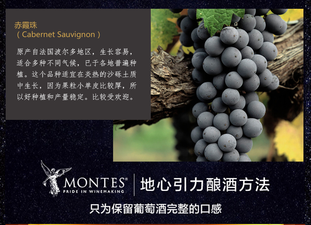 智利进口红酒整箱 蒙特斯(montes 限量精选黑皮诺 750ml*6