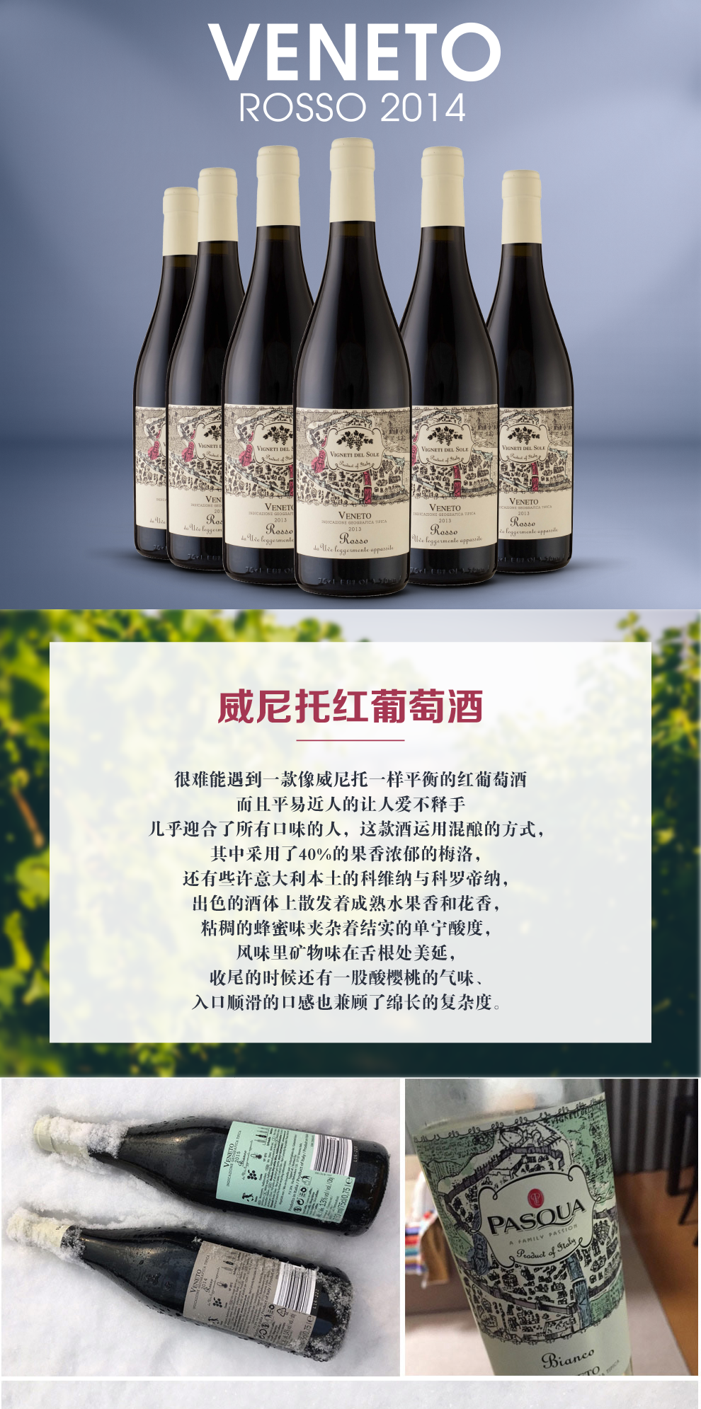 意大利pasqua酒庄 veneto rosso 威尼托 红酒整箱6瓶装 半干型